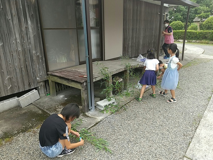 Horizon_0002_burst20230624100625761