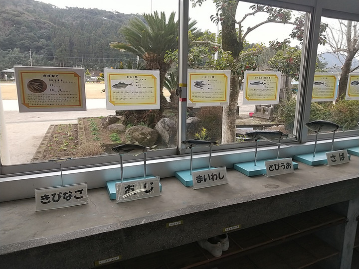 Img_0002_burst00120240118121541