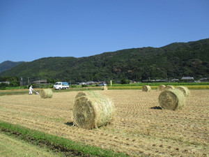 Img_0405 Img_0405