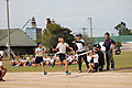 Img_5721 Img_5721