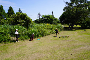 Photo_11