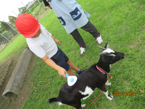 Img_7212_2 Img_7212_2