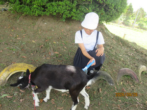 Img_7221 Img_7221