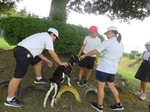 Img_7223 Img_7223