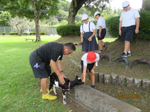 Img_7225 Img_7225