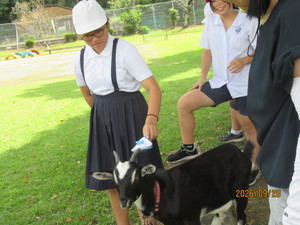Img_7230 Img_7230