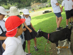 Img_7233 Img_7233